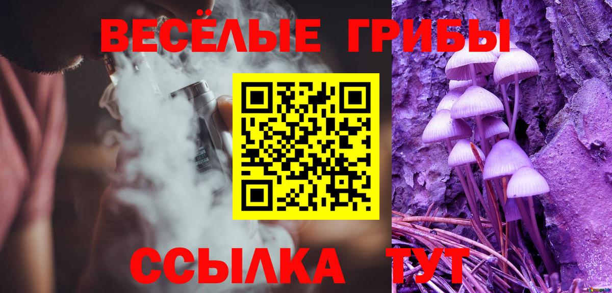 Псилоцибиновые грибы Psilocybe  Вход с VPN  Красногорск 
